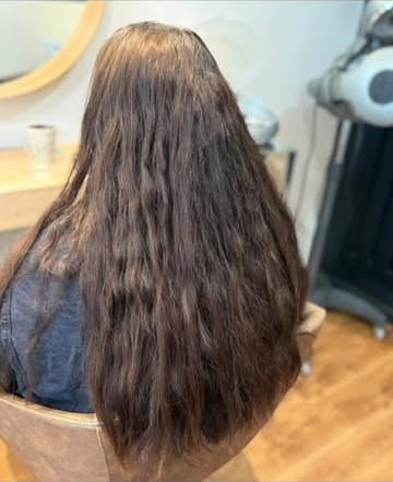 Cheveux longs brossés, vus de dos au salon
